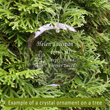 Design Your Own Crystal Ornament