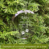 Crystal Paw Print Ornament