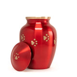 Forever Embrace Golden Pawprints Pet Urn