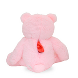 Loving Teddy Bear Keepsake Urn