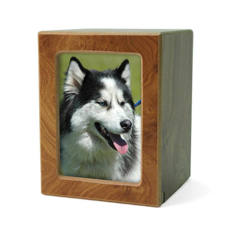Photo Cremation Urn for Pets